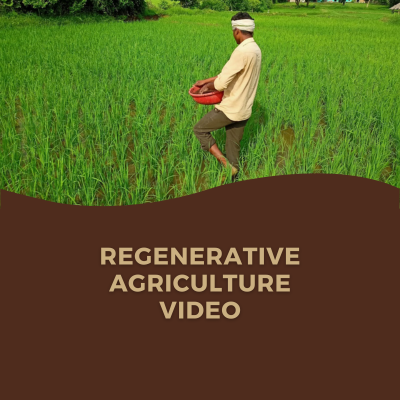 Lotus Foods' Regenerative Agriculture Work Featured in Video Shown at